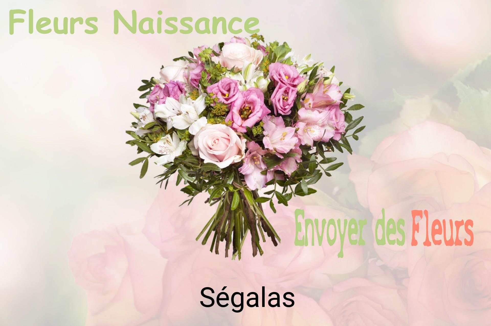 Bouquet de fleurs de naissance livré à Ségalas