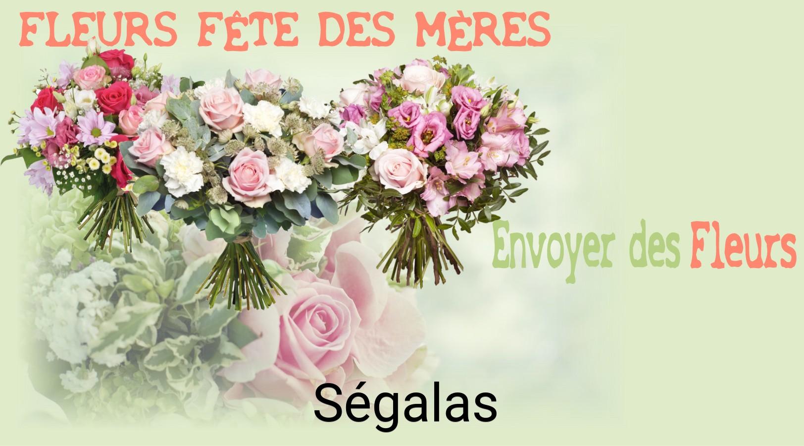 Bouquet de Fête des Mères livré à Ségalas